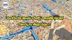 ట్రంప్ కొత్త చట్టంతో ఆంధ్రా ఆక్వారైతుకు గట్టి దెబ్బే!