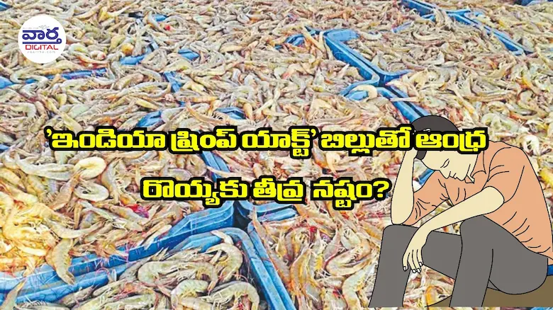 Latest News: America: ట్రంప్ కొత్త చట్టంతో ఆంధ్రా ఆక్వారైతుకు గట్టి దెబ్బే!