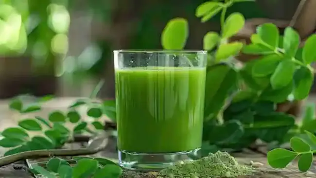 drumstick leaves juice -  పరగడుపున మునగాకు రసం తీసుకుంటే బోలెడు లాభాలు.. 