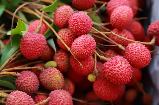 Latest Telugu news: Lychee – లిచీ పండ్లతో క‌లిగే లాభాలు తెలుసా..