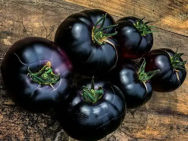 Latest Telugu news : Black Color Tomatoes – న‌లుపు రంగు ట‌మాట‌లు తెలుసా? వీటితో ఎన్ని లాభాలో తెలుసుకుందాం.