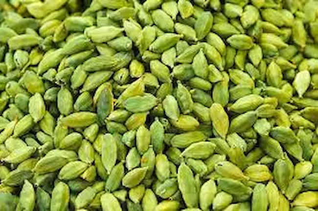 Cardamom: భోజనం తర్వత ఒక్క యాలక్కాయ నోట్లో వేసుకుంటే చాలు.. ఎన్ని లాభాలో..