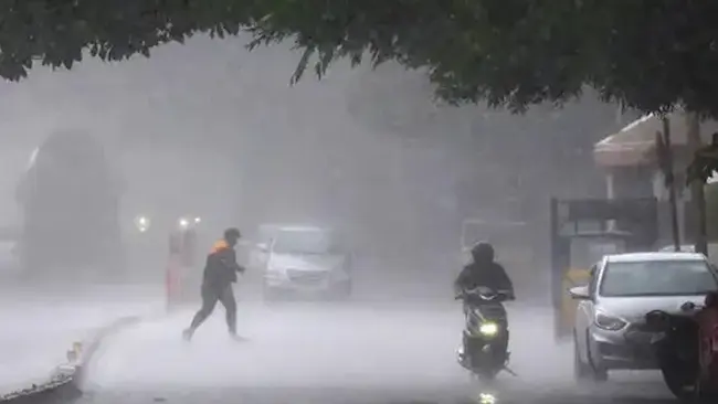 News telugu: Heavy Rain: తెలంగాణలో మరో 2 రోజులు భారీ వర్షాలు