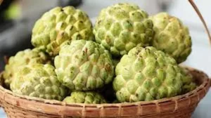 ఈ సీజన్‌లో తప్పక తినాల్సిన ఫలం: సీతాఫలం ఆరోగ్య రహస్యాలు