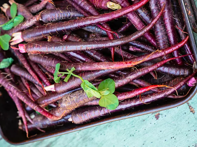 Purple Carrots - ప‌ర్పుల్  క్యారెట్ల‌ను తింటే ఎన్ని లాభాలో తెలుసా..?  