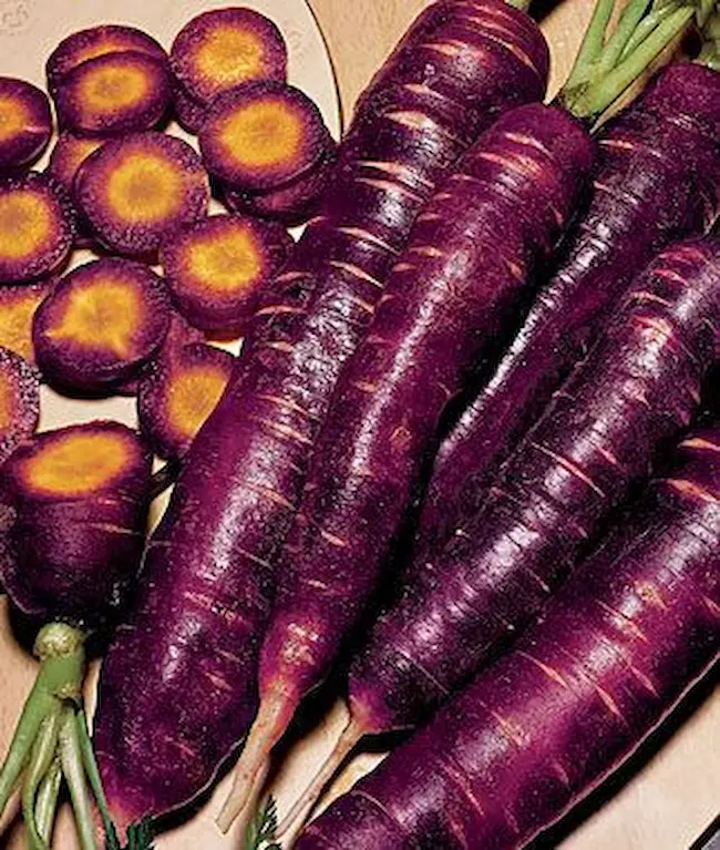 Purple Carrots - ప‌ర్పుల్  క్యారెట్ల‌ను తింటే ఎన్ని లాభాలో తెలుసా..?  