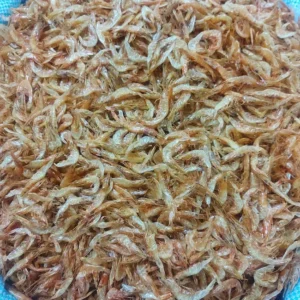 Dried shrimp – ఎండిన రొయ్యలు తింటే ఎన్ని లాభాలో తెలుసా..