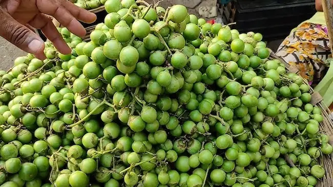  Lasoda Fruit -  లసోడా పండును ఆహారంలో భాగం చేసుకుంటే అనేక లాభాలు ..