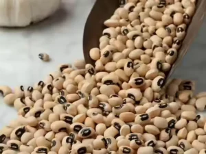 బొబ్బ‌ర్ల‌ను డైలీ డైట్‌లో చేర్చుకుంటే అనేక ప్ర‌యోజ‌నాలు