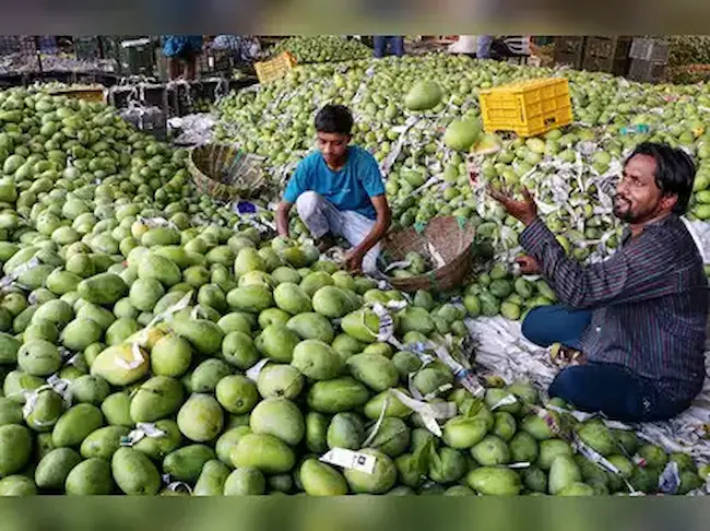 News telugu: Chittoor-మామిడి రైతులకు రూ.480 కోట్లు బకాయిపడ్డ పల్ప్ ఫ్యాక్టరీలు