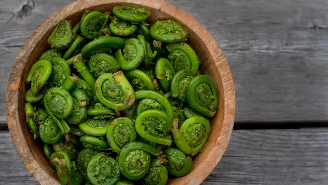   Lingad - ఈ కూర‌గాయ‌లో పోష‌కాలు అనేకం..