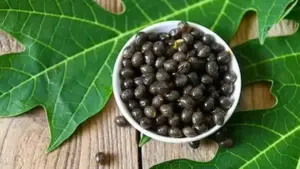 Papaya seeds-బొప్పాయి గింజలతో అనేక ఆరోగ్య ప్రయోజనాలు