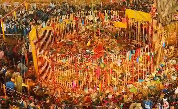 Today News : Medaram – సమ్మక్క-సారక్క జాతర ఖ్యాతి ఖండాంతరాలకు