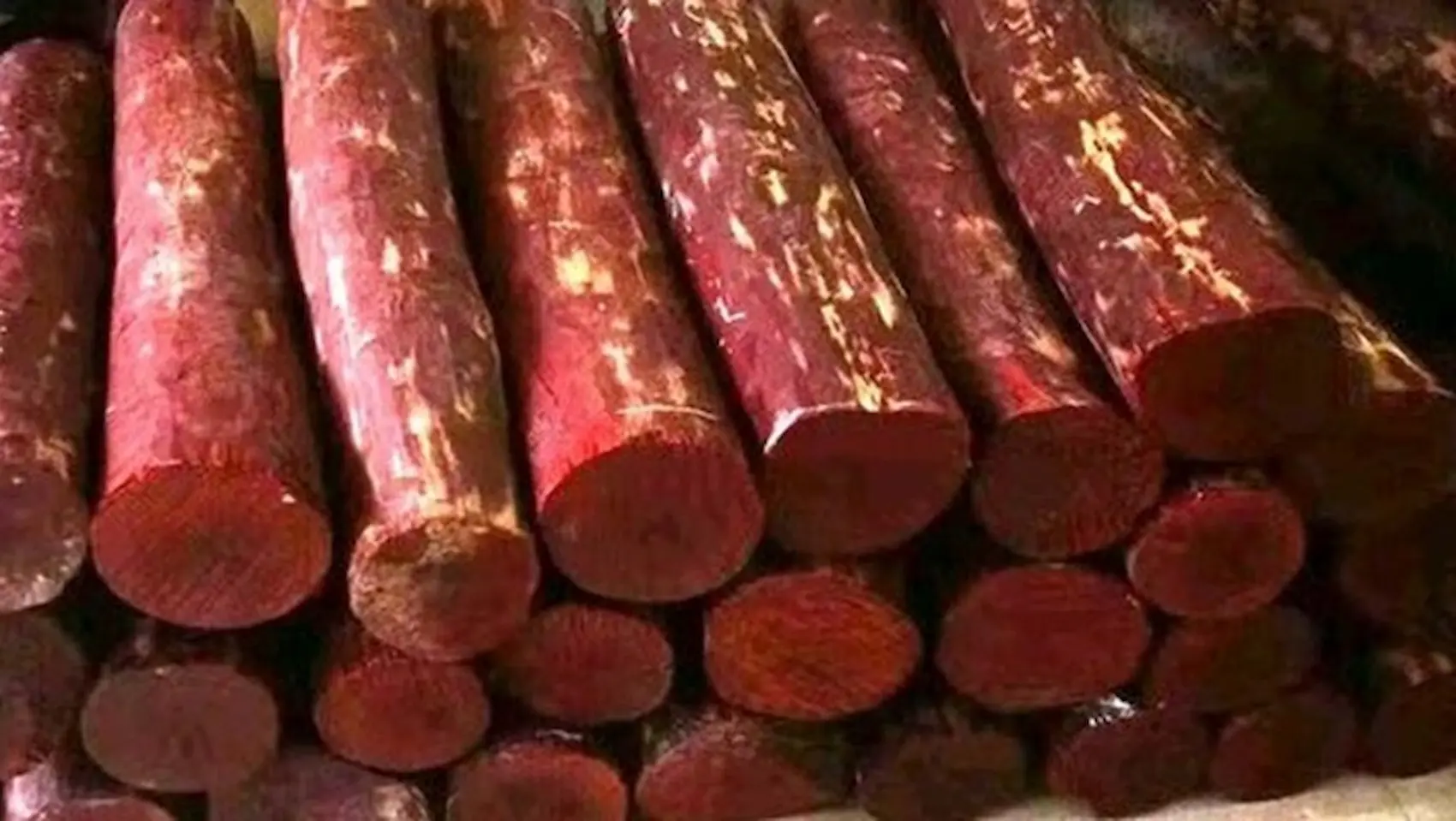 Red sandalwood smuggling – రాజంపేట నుంచి పుంగనూరు ఎర్రచందనం స్మగ్లింగ్
