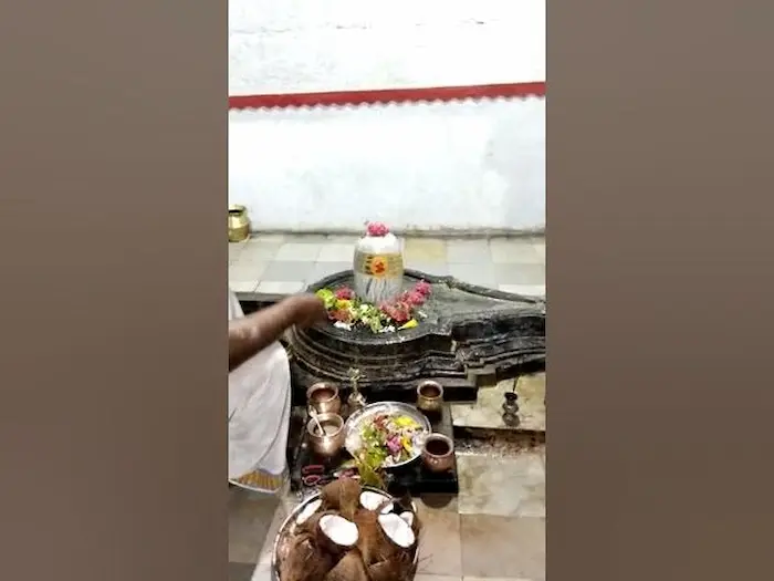 Sarpa Dosha Nivarana Temple: సర్ప దోష నివారణ క్షేత్రం