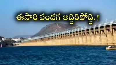 Vijayawada - మైసూరు తరహాలో విజయవాడ ఉత్సవ్