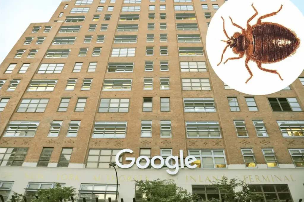 న్యూయార్క్ లోని గూగుల్ ఆఫీస్ క్లోజ్ ఎందుకంటే ?