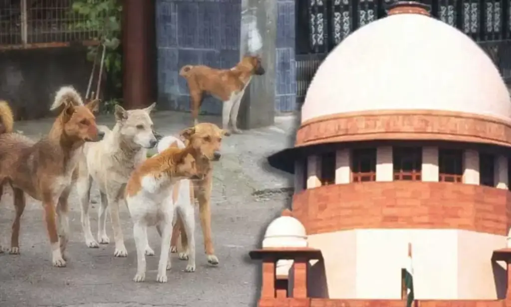 Latest news: Supreme Court: వీధి కుక్కల కేసులో రాష్ట్రాల సీఎస్‌లపై సుప్రీంకోర్టు ఆగ్రహం
