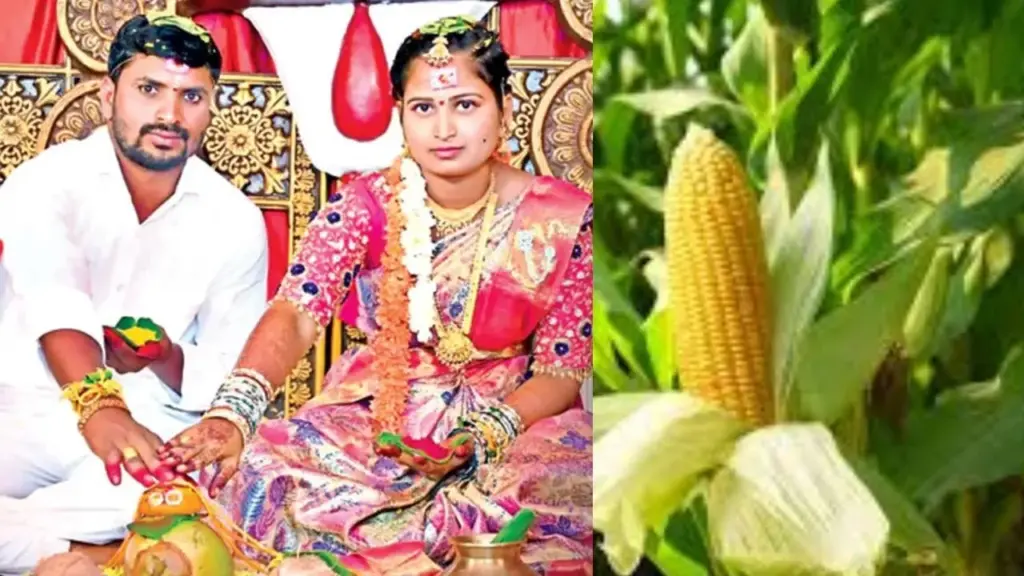 Telugu News: Crime: వ్యక్తి మరణం కి కారణమైన మొక్కజొన్న కంకి ఎం జరిగిందంటే?