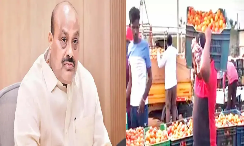 Atchannaidu : టమోటా ధరలపై మంత్రి అచ్చెన్నాయుడు భరోసా