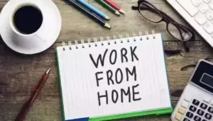 వర్క్ ఫ్రమ్ హోం పై ప్రభుత్వం కసరత్తు