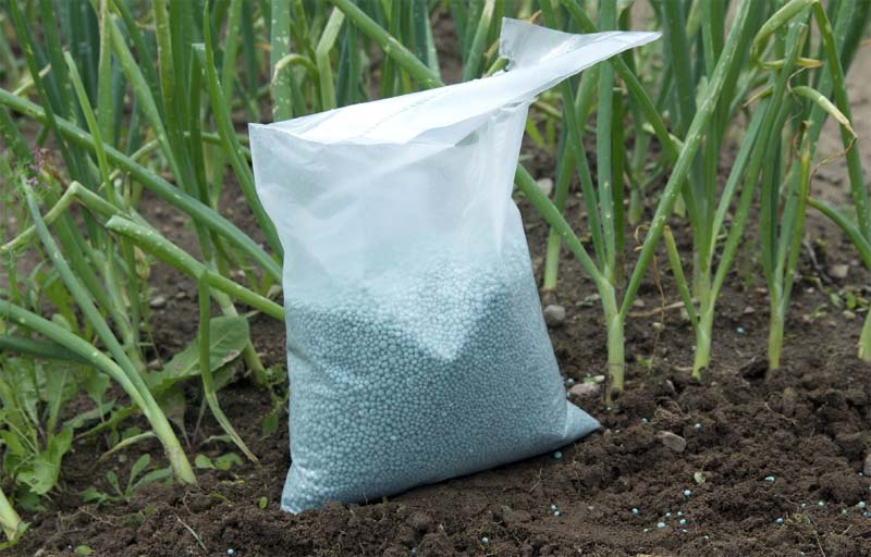 Breaking News – Fertilizer Prices : భారీగా పెరగనున్న ఎరువుల ధరలు!