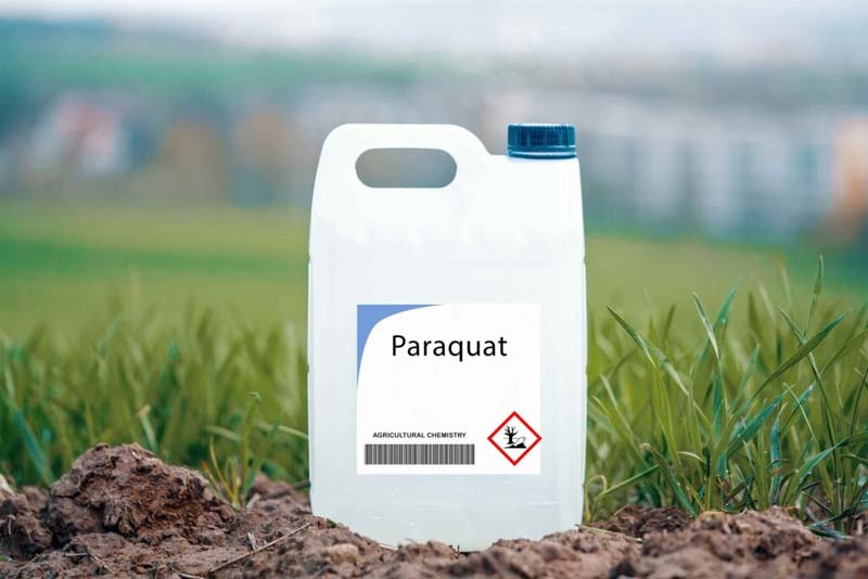 Breaking News – Paraquat : పారాక్వాట్ గడ్డిమందును బ్యాన్ చేయాలి ఎందుకంటే !!!