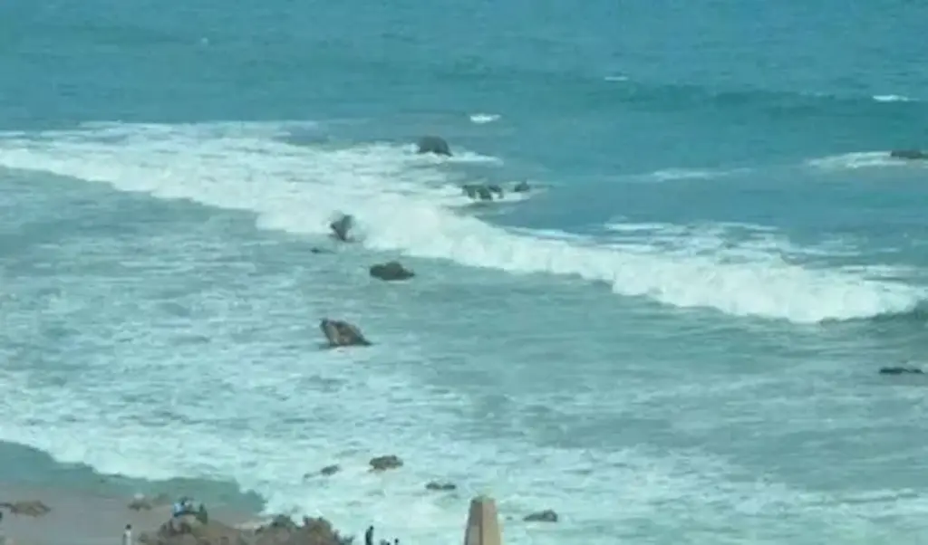 Latest News: Visakhapatnam: యారాడ బీచ్‌లో  కొట్టుకుపోయిన నలుగురు ఇటలీ పర్యాటకులు.. ఒకరు మృతి