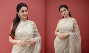 ఎక్స్‌పోజింగ్ ఫోటోస్ వైరల్.. ప్రియాంక తీవ్ర హెచ్చరిక