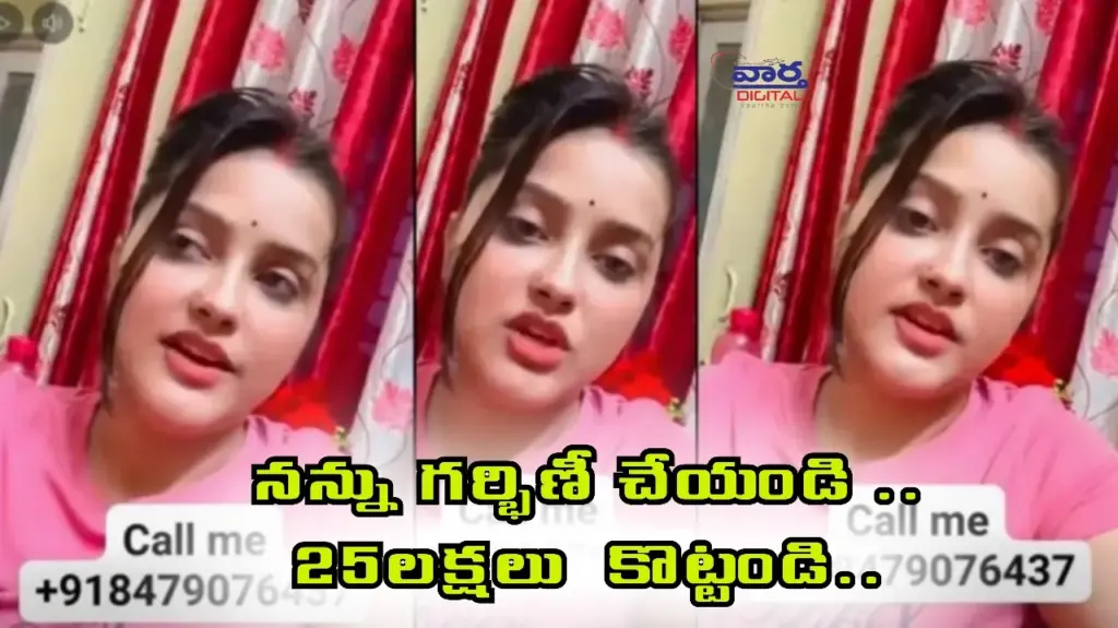 Telugu News:Cyber Crime:నన్ను గర్భిణీ చేయండి.. 25 లక్షలు కొట్టండి..