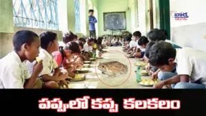 బాబోయ్.. మధ్యాహ్న భోజనం పప్పులో కప్ప
