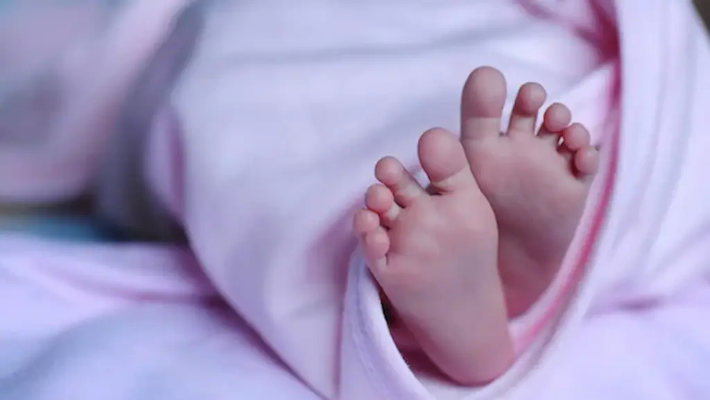 Tamilnadu Crime News