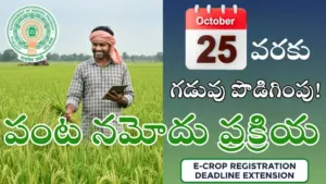 ఈ-క్రాప్ నమోదు గడువు 25 వరకు పొడిగింపు