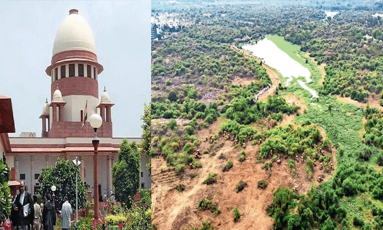 Telugu News: SP: కంచ గచ్చిబౌలి భూములపై సుప్రీంకోర్టుకు నిజాం వారసులు