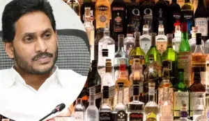 ఆంధ్రప్రదేశ్‌లో ‘నకిలీ మద్యం’ దందాపై తీవ్ర ఆరోపణలు