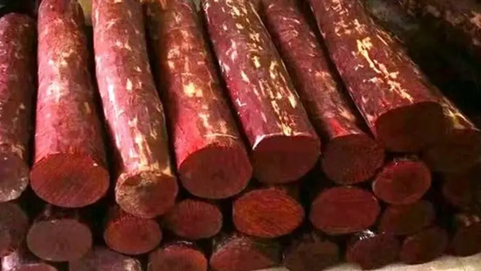 Red sandalwood