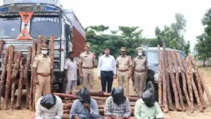 ఢిల్లీలో భారీ ఎర్రచందనం స్మగ్లింగ్