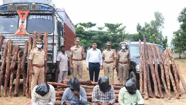 Telugu News: Red sandalwood :ఢిల్లీలో భారీ ఎర్రచందనం స్మగ్లింగ్