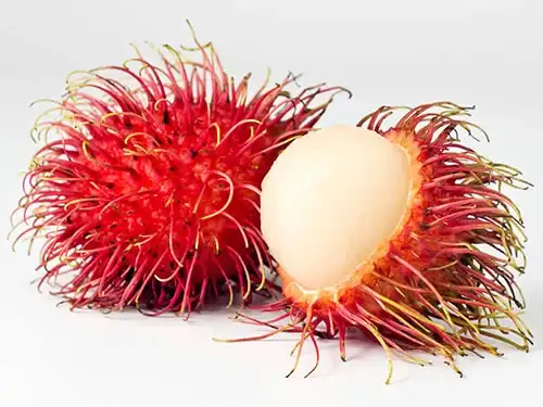 Rambutan fruit