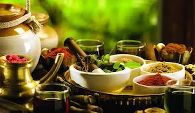 Ayurveda Rules : ఆయుర్వేద నియ‌మాల‌ను పాటిస్తే 100 ఏళ్ల ఆరోగ్యం.. 