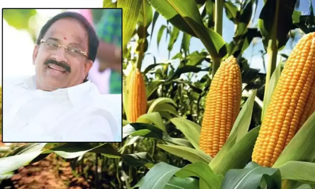 Telugu News:Tummala Nageswara Rao: మద్దతు ధరకు మొక్కజొన్న కొనుగోలు
