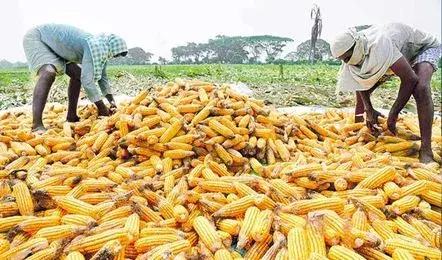 Tummala Nageswara Rao