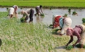 రైతుకు కనీస మద్దతు ధర హామీ ప్రభుత్వ ప్రధాన లక్ష్యం