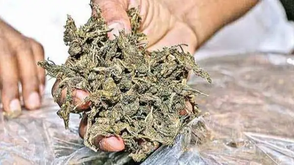 Bapatla Railway Station