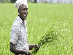 Latest News: Fertilizer Subsidy:  రైతులకు భారీ ఉపశమనం – ఎరువులపై కేంద్రం కీలక నిర్ణయం!