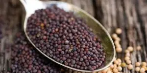 గుండె ఆరోగ్యానికి, జీర్ణక్రియకు, చర్మానికి ఆవాల ప్రయోజనాలు