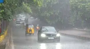 Telangana Rains 