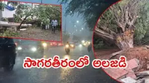 విశాఖలో బలమైన ఈదురుగాలులకు నేలకూలిన భారీ వృక్షాలు