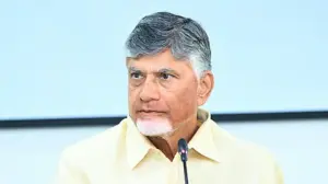 ఏపీకి నాలుగు కేంద్రీయ విశ్వవిద్యాలయాలు..సీఎం ఏమన్నారంటే?