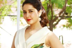 బాలీవుడ్ ఇండస్ట్రీ పై రాశిఖన్నా కీలక వ్యాఖ్యలు